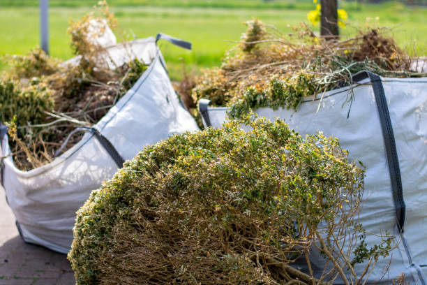 Best Residential Junk Removal  in Canon, GA